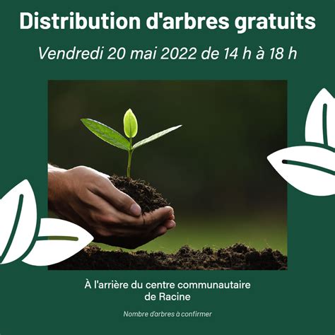 Distribution d arbres gratuits le 20 mai prochain Municipalité de Racine