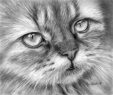 40 Beautiful and Realistic Animal Sketches For Your Inspiration