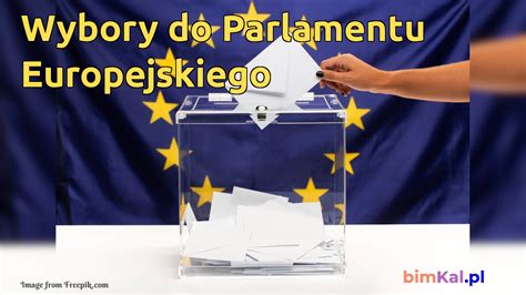 Wybory Do Europarlamentu Kiedy W Polsce Wprowadzono Allyce Carolyn