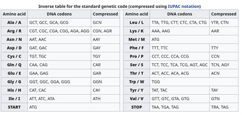 RNA Codon Table