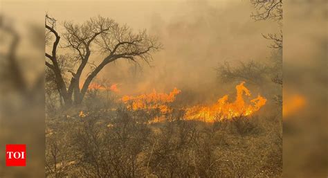 Wildfire In Texas Panhandle Becomes One Of The Largest In State History World News Times Of