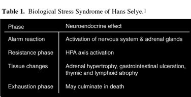 Stress Response Flashcards Quizlet