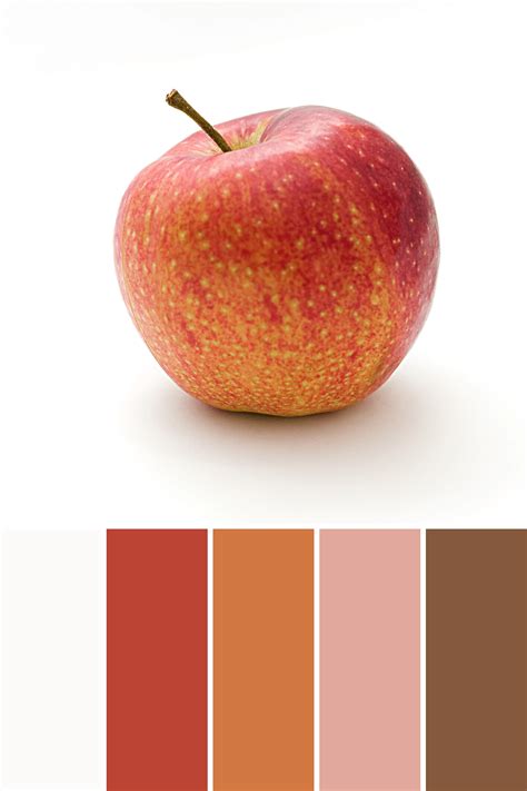 Fruit Color Palettes This Growing Home