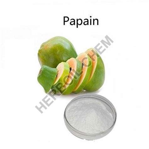 Papain Enzyme Powder Manufacturer Supplier From Manipur India