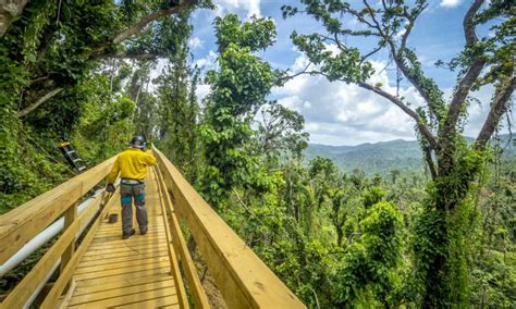 ¿Qué hacer en el Yunque Puerto Rico? | El Souvenir