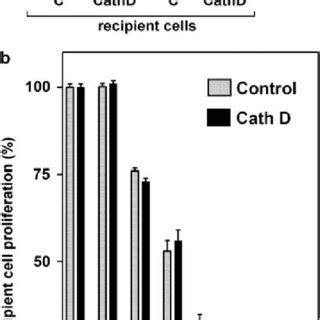 Heat Shock Cognate 70 Protein Hsc70 From Culture Medium Is Secreted