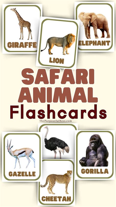 safari animals flashcards - The Purposeful Nest