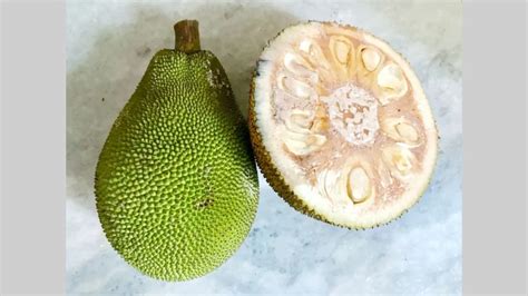 Jackfruit In Hindi Fruits Name