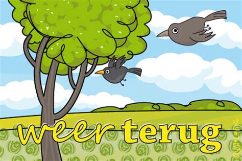 Eljo is weer terug! - Bloemen & Planten - Forum - Tuinadvies