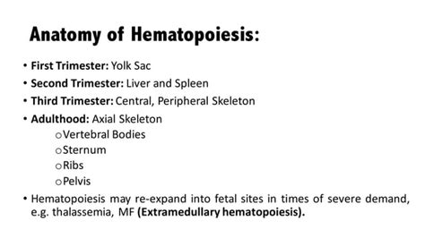 01. Hematopoiesis | PPT