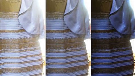 The Funniest Memes To Come Out Of Thedress Debate On Whether A Particular Dress Is White And