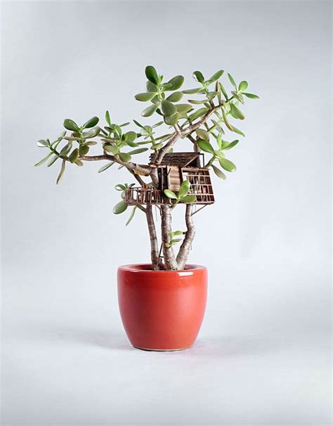 7 Small Indoor Plants Potted Plants Online Home Design Home Design