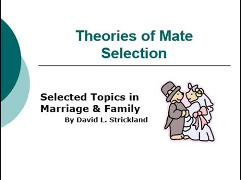 Sociology With Professor Dave Theories Of Mate Selection YouTube