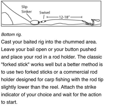 Beginner carp setup that can be made with easy to find tackle and a can ...