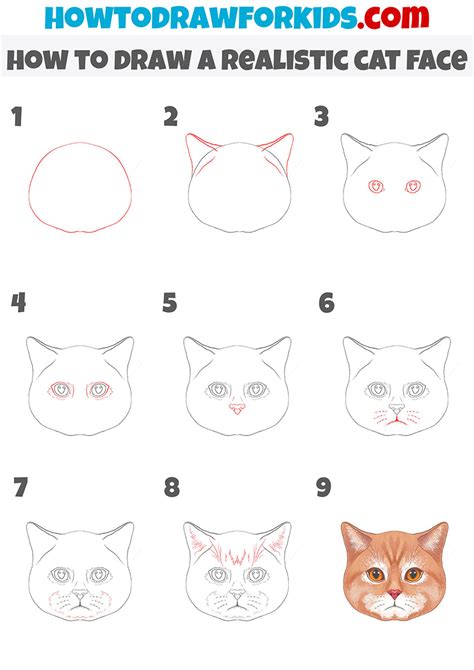 How To Draw A Simple Cat Face