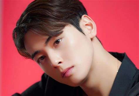 ชาอึนอูcha Eun Woo วง Astro กำลังพูดคุยสำหรับละครโรแมนติกที่สร้างจาก