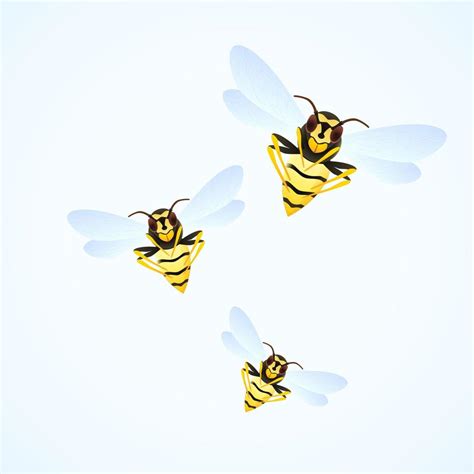 Wasp swarm cartoon illustration isolated on white background. poisonous ...