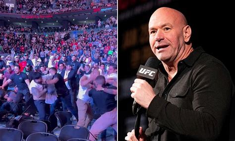 Ufc President Dana White Insists Wild Crowd Brawl During Mexico Event