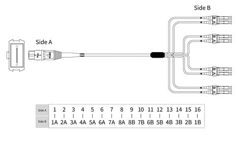 Mtp Mpo Cables A Complete Guide To The Basics Fiber Life