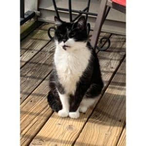 Keep Pests Away | Trending Breeds