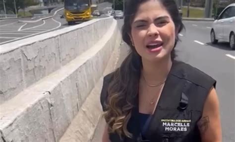 Vídeo Marcelle Moraes se revolta ao se deparar cachorro morto na