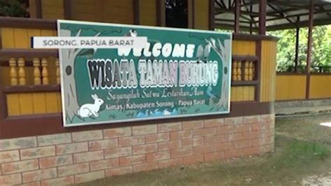 Wisata Papua Barat Daya Di Sorong Taman Burung Aimas Punya Koleksi