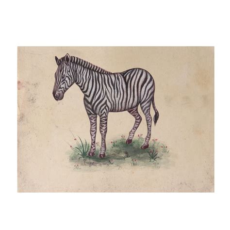 Zebra Unframed Watercolor Painting