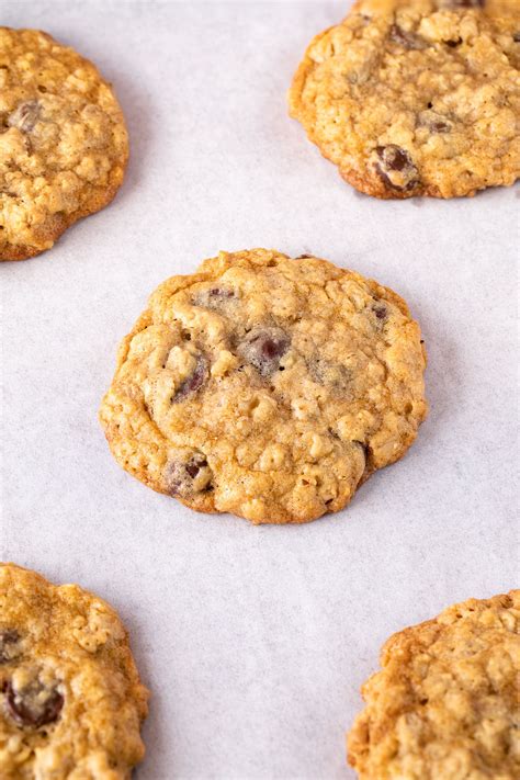 Oatmeal Walnut Chocolate Chip Cookies Partylicious