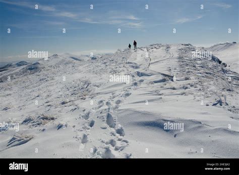 Winter in the Bieszczady National Park. Meadow Bukowe Berdo. Two men ...