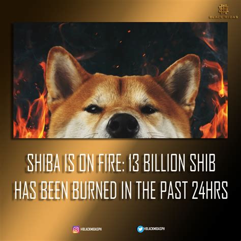 Black Midas On Twitter Shiba Inu Token Developers Introduced A New