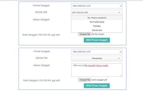 Cara Sanggah Hasil SKB CPNS 2021 Kumparan