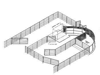 cattle handling pen design - Fredda Keen