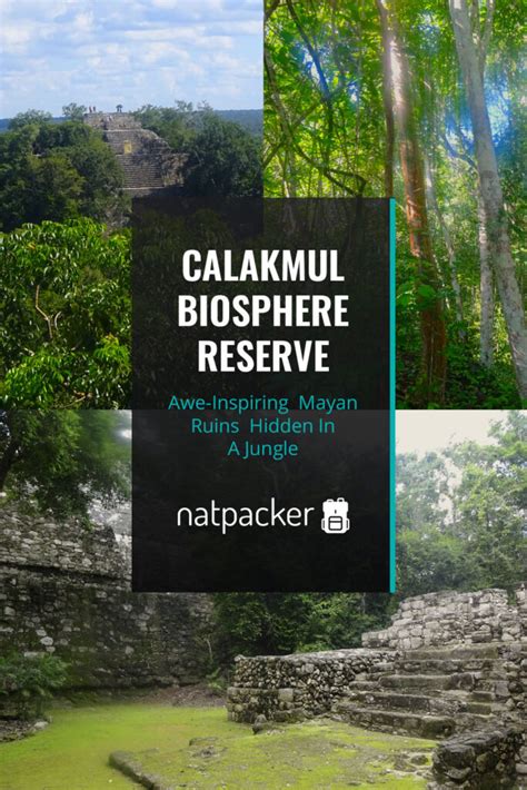 Calakmul - Awe-Inspiring Mayan Ruins Hidden In A Jungle