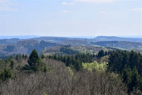 Baumwipfelpfad Im Panarbora Waldbr L Nrw Mr Cook S Travelbook