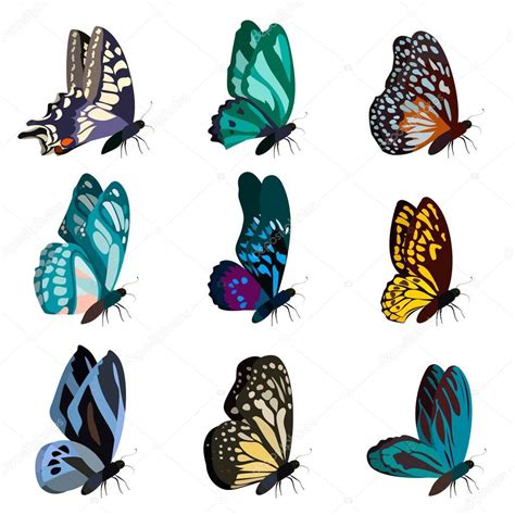 Gran Colecci N De Mariposas De Colores Mariposas Aisladas En Blanco