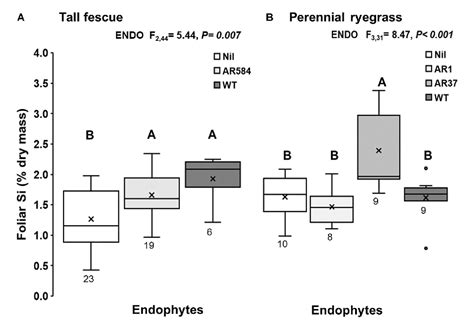 Figure From Reciprocal Effects Of Silicon Supply And Endophytes On