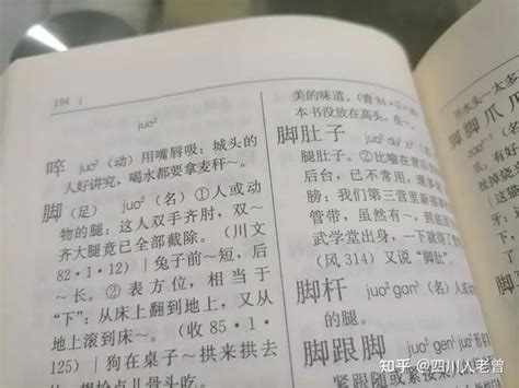 四川方言的声母与韵母，顺便谈谈《四川方言词典》的几处存疑点 知乎