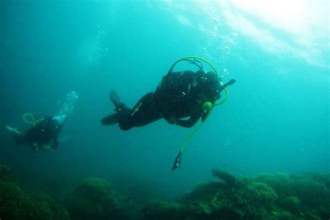 How Do Scuba Divers Go Up And Down Diving Lore