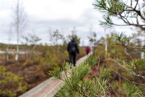 Naturschutzgebiete in Deutschland im Überblick Outdoor Blog für