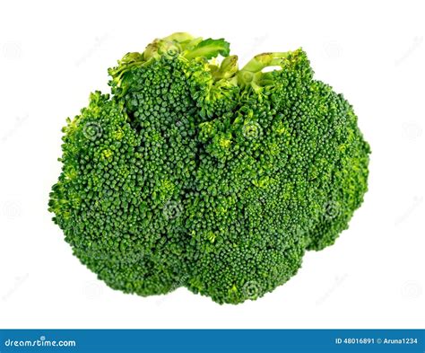 Macro Closeup Of Broccoli Floret Isolated On White Stock Image Image