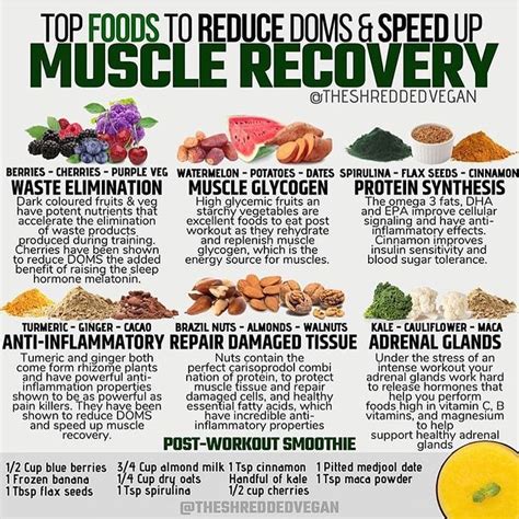 Plant Based Muscle Recovery Foods Theshreddedvegan Follow