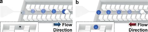 Conceptual Illustrations Of The Microfluidic Bead Based Diode With A