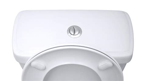 21 Different Types Of Toilets Styles Flush Types Features