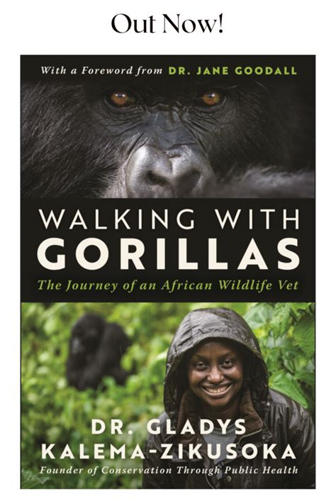 Conservation Through Public Health Walking With Gorillas Is Out Now