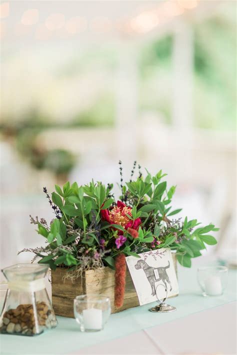 Wood Box Centerpiece And Dog Themed Table Number