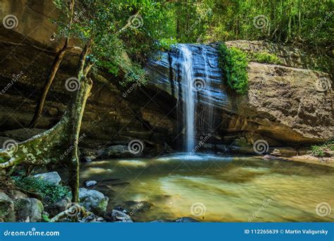 Serenity Falls And Swimming Hole In Buderim Forest Park Sunshine Coast