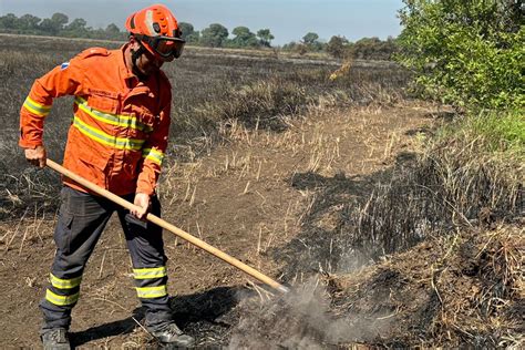 Governo Do Estado Mant M Combate A Inc Ndios No Pantanal Apoio De