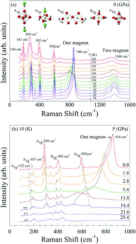 A Temperature Dependent Raman Spectra Of Sr Ir O At Ambient