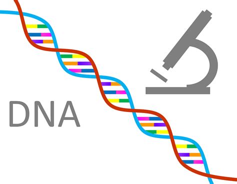 Evolution Ordliste Fonder Science