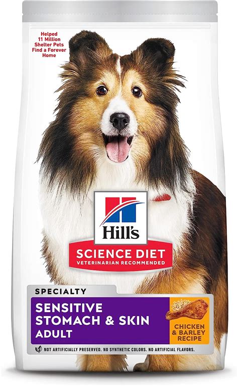 11 Best Dog Food Brands For A Sensitive Stomach in 2024